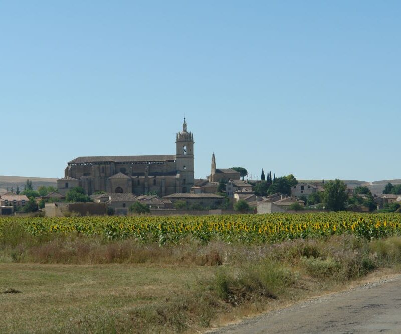 DSC00956
