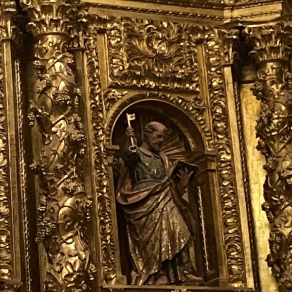 IMG_4565